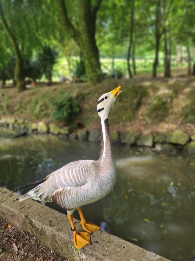 Vila Agroturismo Anziola Oiartzun Exteriér fotografie